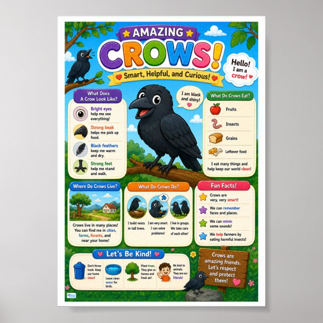 Poster Fatos Divertidos Sobre Corvos Para Crianças (Frente)