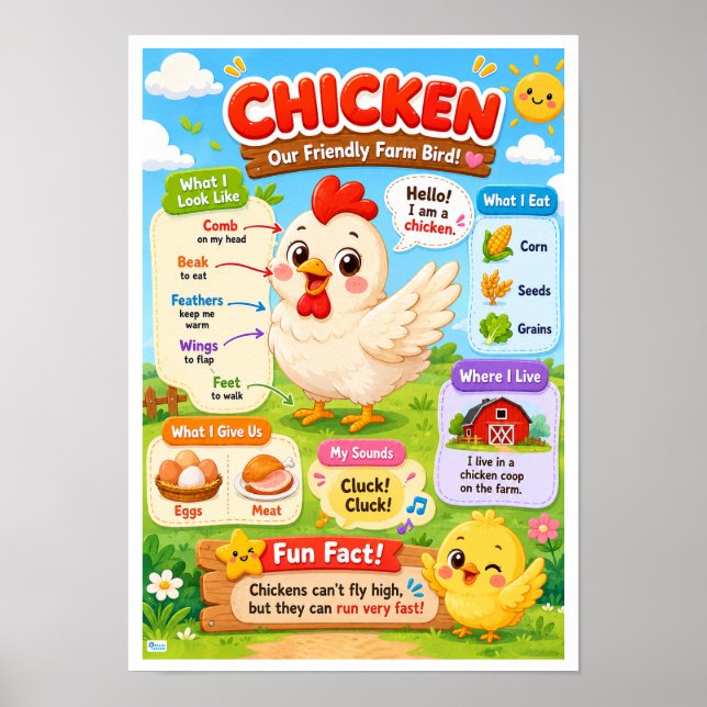 Poster Fatos Divertidos Sobre Frangos Para Crianças (Frente)