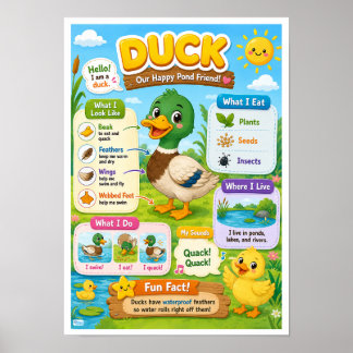 Poster Fatos Divertidos Sobre Pato Para Crianças