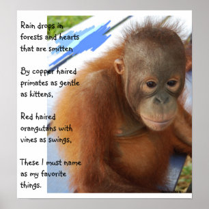 Póster Favoritos animais doces