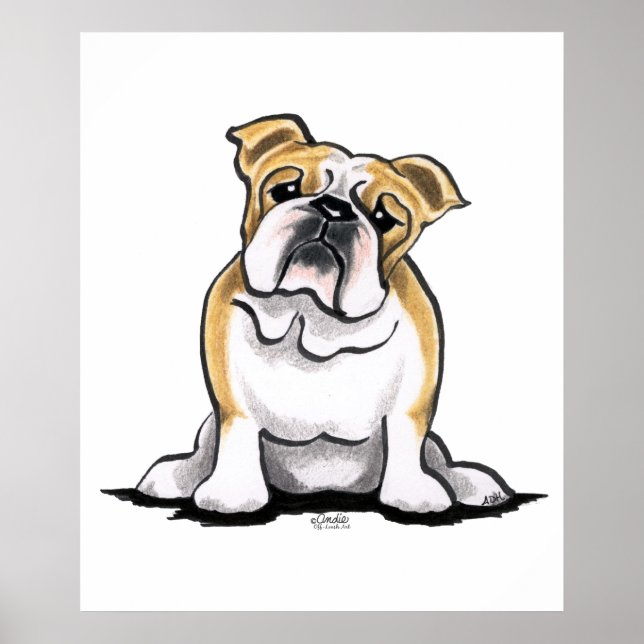 Póster Fawn White Buldogue Sit Bonito (Frente)
