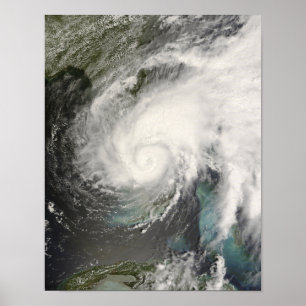 Poster Fay tropical da tempestade