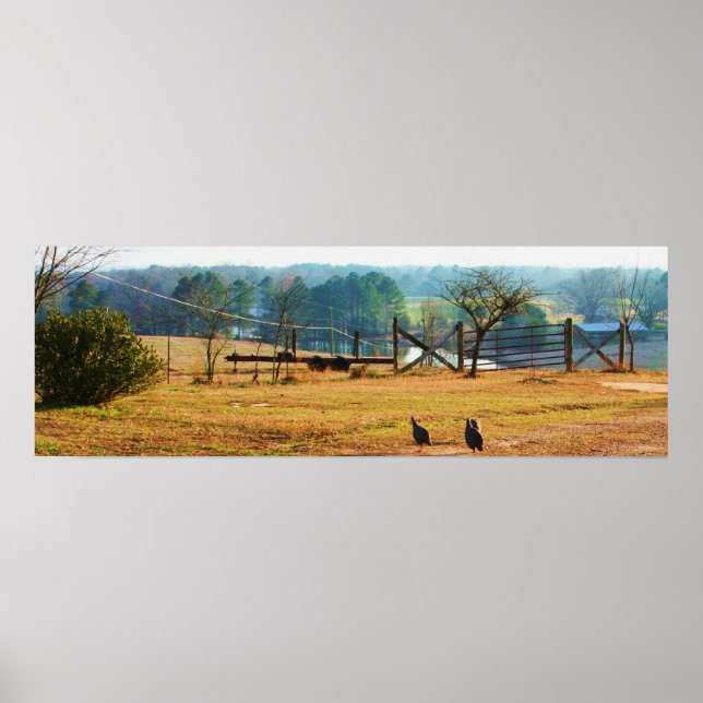 Poster Fazenda (Frente)