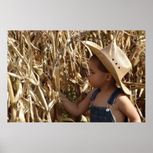 PÓSTER FAZENDA BOY PSTER
