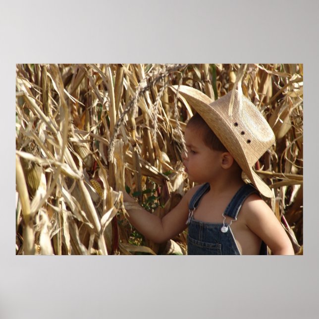 PÓSTER FAZENDA BOY PSTER (Frente)