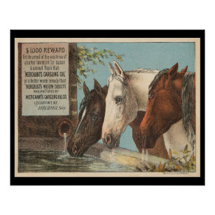 Póster Fazenda Cavalos Bebendo Anúncio de Água Ephemera