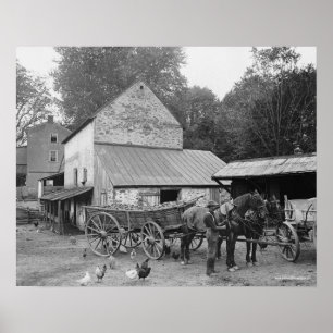 Poster Fazenda da Pensilvânia, 1906. Foto Antiga