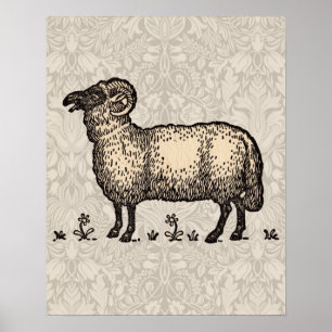 Póster Fazenda De Ovinos