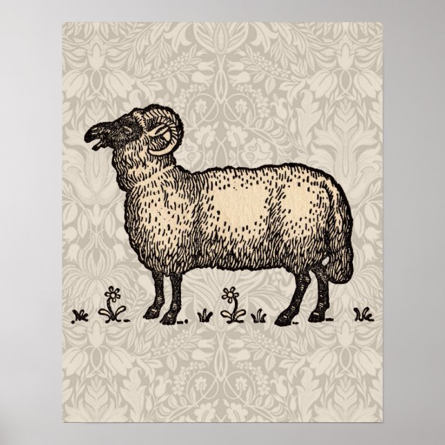 Póster Fazenda De Ovinos (Frente)