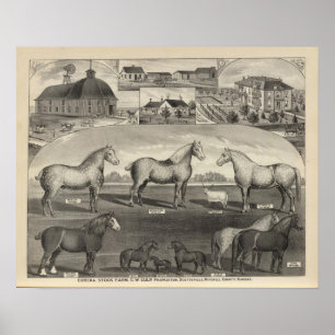 Poster Fazenda do estoque de Eureka, Scottsville, Kansas