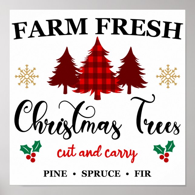 Poster Fazenda Frescas Árvores de Natal Cortadas e Carreg (Frente)