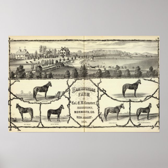Poster Fazenda Hamiltoniana em Middletown, NJ (Frente)