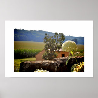 Poster Fazenda Maplewood [Impressão de Arte]