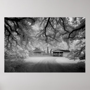 Póster Fazenda Meadowbank