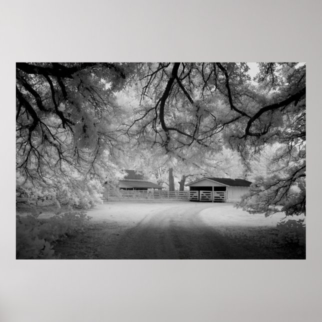 Póster Fazenda Meadowbank (Frente)