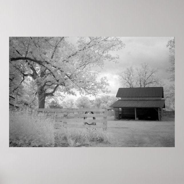 Póster Fazenda Meadowbank (Frente)