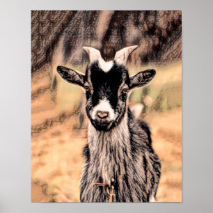 Poster Fazenda Rústica De Goat Rustic