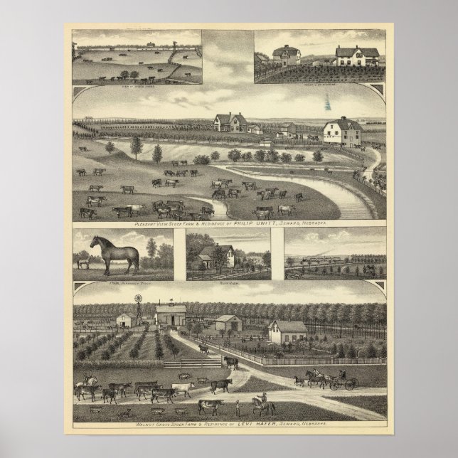 Póster Fazendas de mar, Nebraska (Frente)