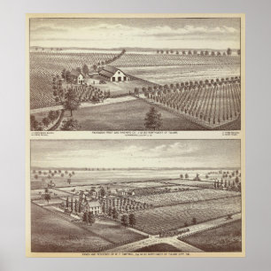 Póster Fazendas de Tulare