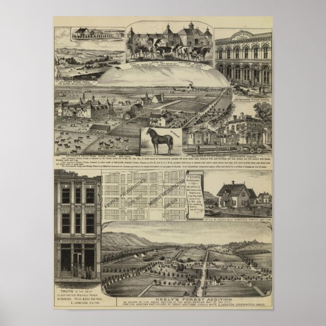 Poster Fazendas do Kansas (Frente)