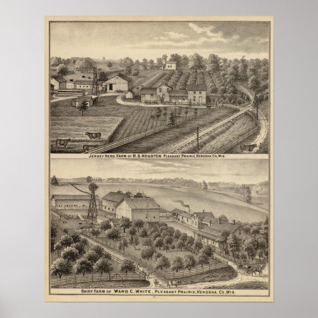Póster Fazendas leiteiras de RS Houston e WC White (Frente)
