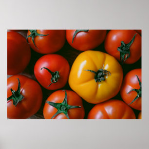 Poster Fazendas Tomates vermelhos e amarelos brilhantes