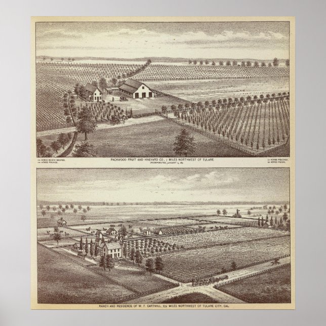 Póster Fazendas Tulare (Frente)