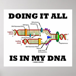 Póster Fazer Tudo Está No Meu DNA (Replicação De DNA)