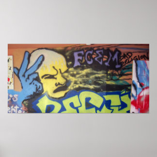 PÓSTER FCEM