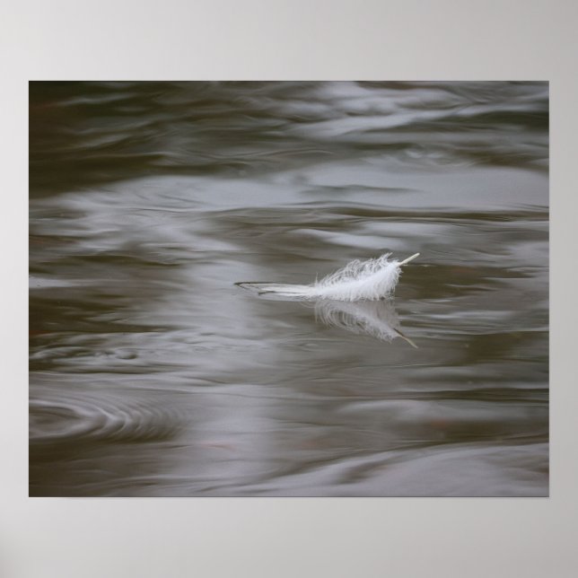 Poster feather on the water (Frente)