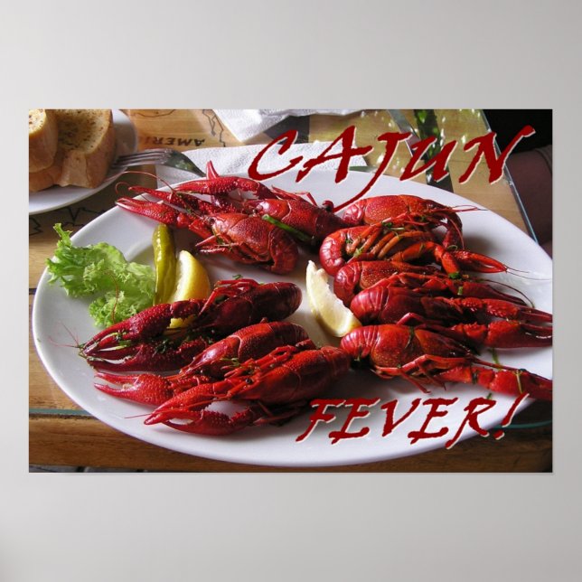 Poster Febre Cajun! (Frente)