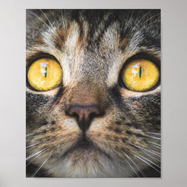 Poster Fechamento de Gato com Olhos Amarelos