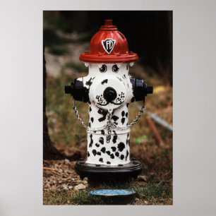 Póster Fechamento de Hidrante de Fogo