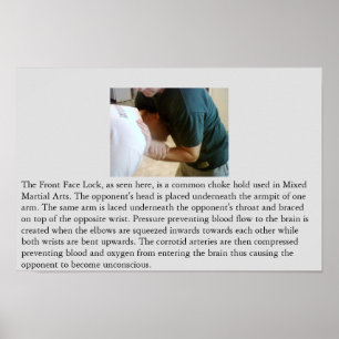 Póster Fechamento dianteiro da cara ou bloqueador