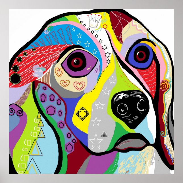 Póster Fechamento do Beagle (Frente)