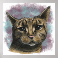 Fechar Desenho Realista do Tabby Cat