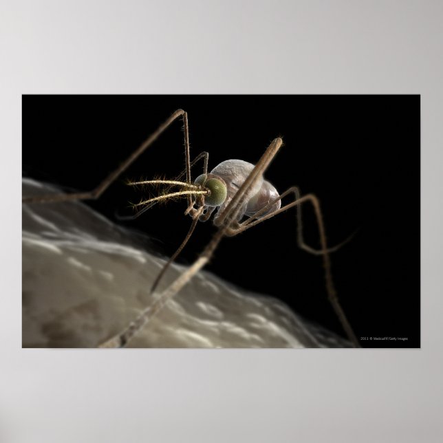 Poster Feche a picada do mosquito 3d (Frente)