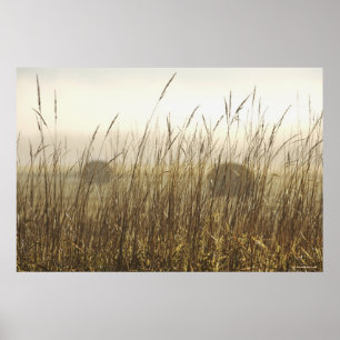 Poster Feche acima da fotografia do trigo