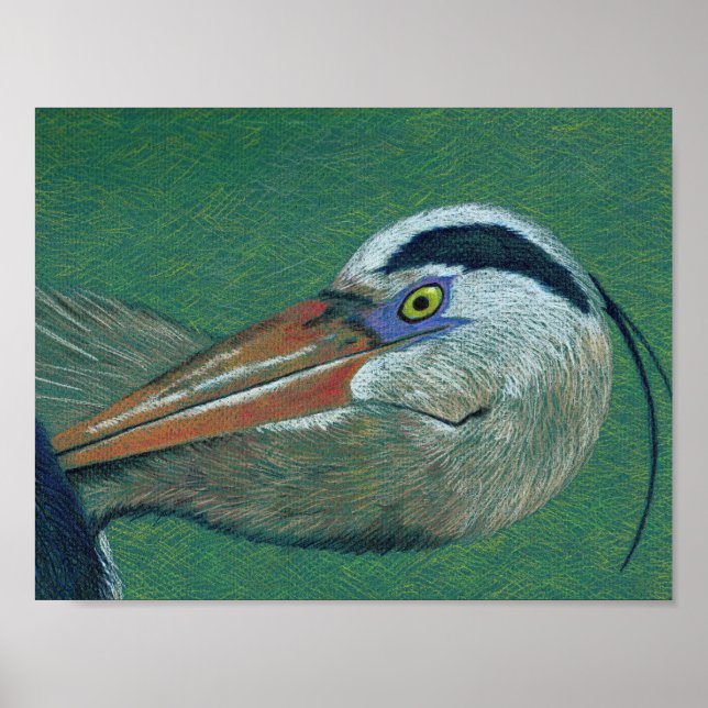 Póster Feche Heron (Frente)