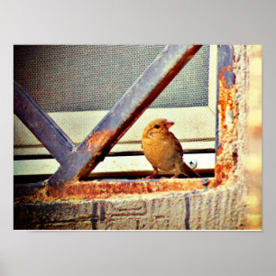Poster Fecho