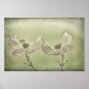 Póster Fecho das flores de madeira rosa Seabeck, WA