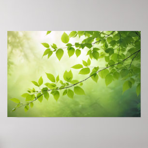 Poster Fecho de Folha Calm Tranquil