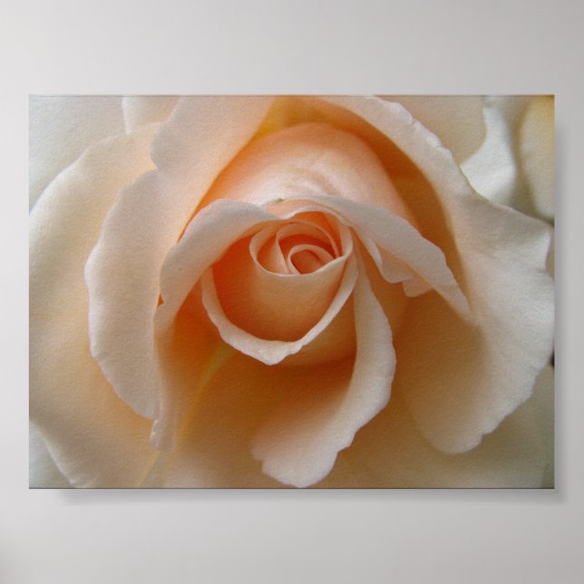 Póster Fecho do rosa (Frente)