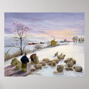 Póster Feeding sheep in winter