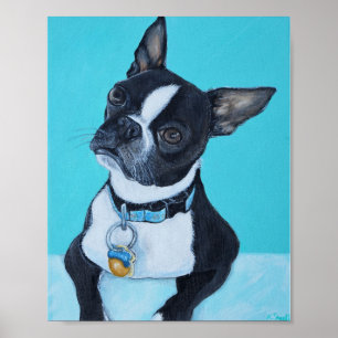 Poster Feijões com a pintura de Boston Terrier
