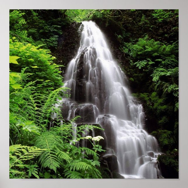 Póster Feiras (Frente)