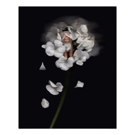 Póster Feiras de flores 1