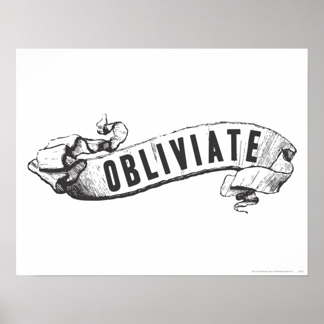 Póster Feitiço de Harry Potter | Obliviate (Frente)