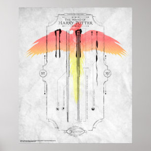 Póster Feitiços de Harry Potter   Infográfico da Varinha 