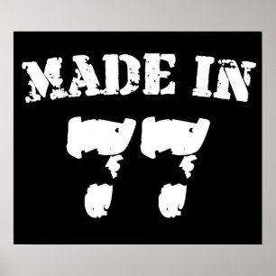 Póster Feito Em 1977